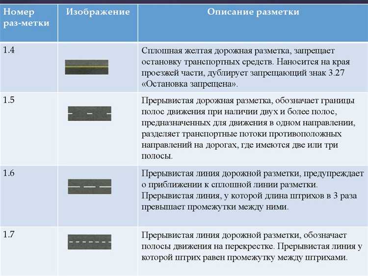 Кто является участником дорожного движения Кто является участником дорожного движения
