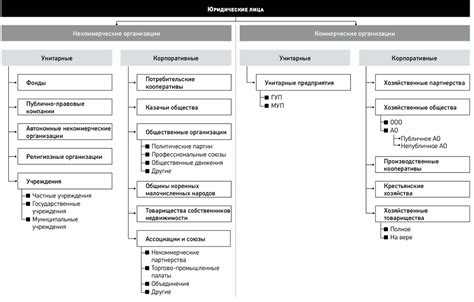Особенности правового статуса акционерных обществ и их подразделений