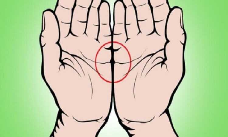 Как положение ладоней воспринимается водителем