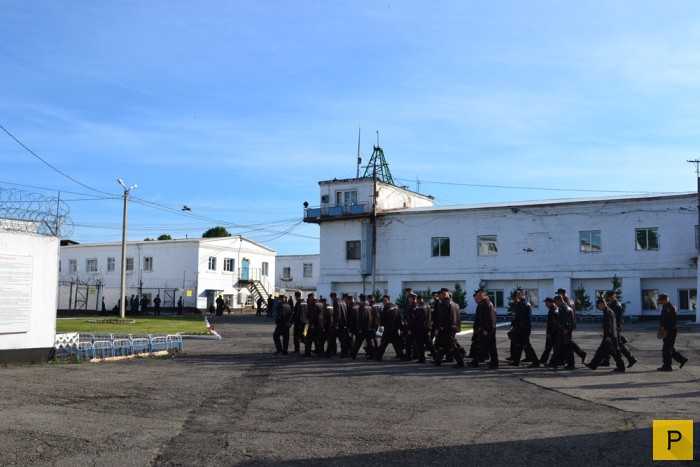 Обращение в службы занятости и помощи в адаптации