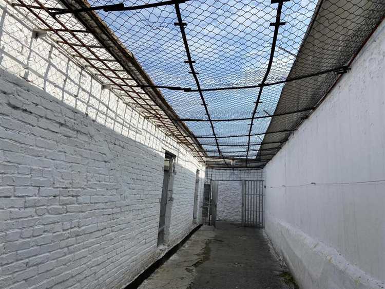 Где искать работу с учетом прошлого судимости