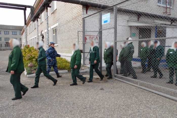 Правила общения с органами полиции и государственными структурами