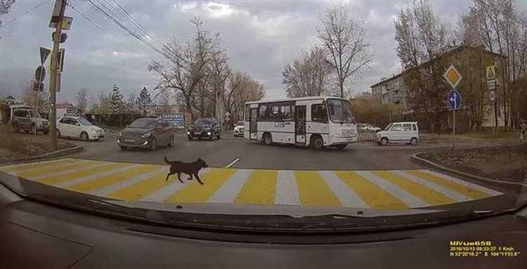 Куда надо смотреть когда переходишь дорогу Куда надо смотреть когда переходишь дорогу