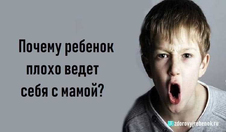 Какие государственные органы принимают обращения по насилию в семье