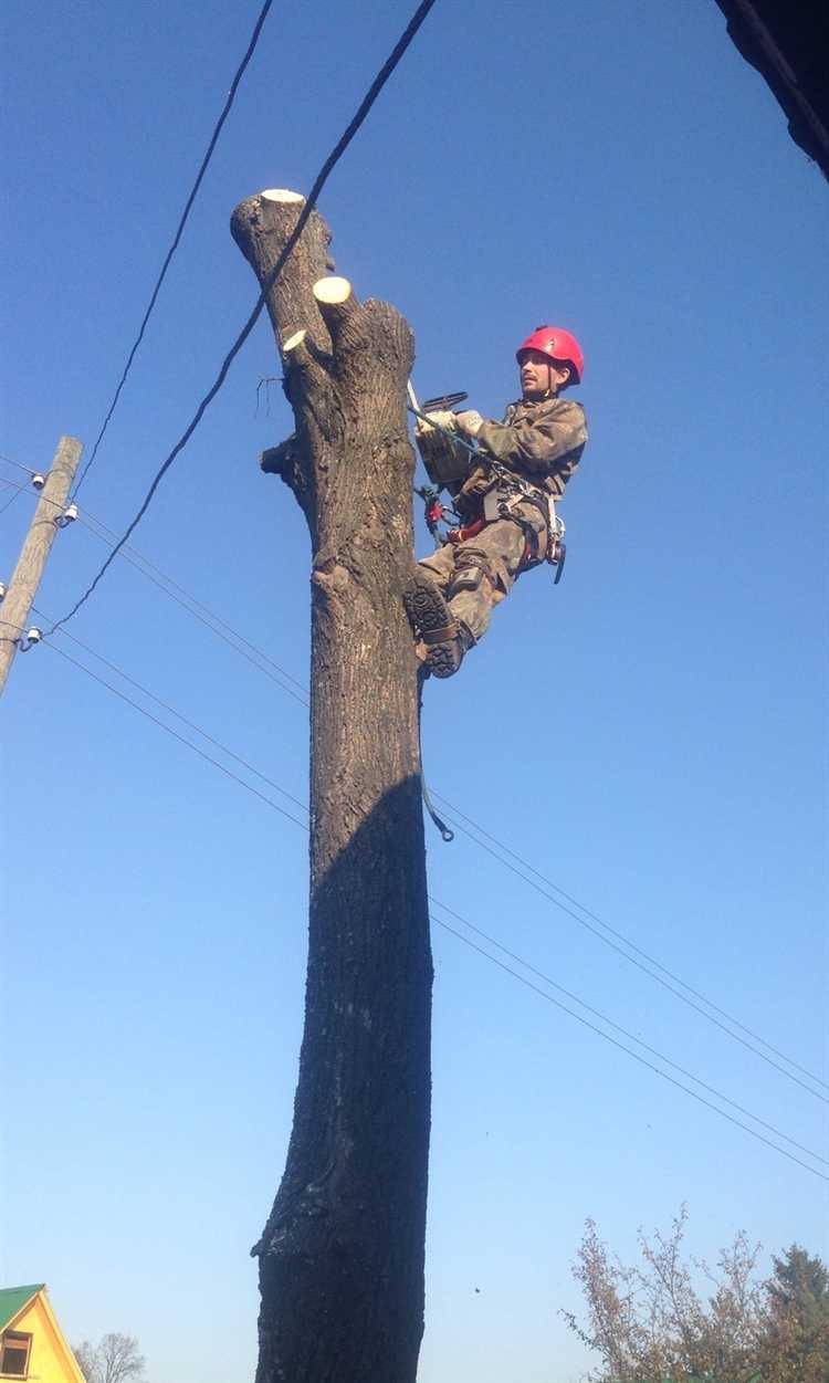 Какие документы нужны для обращения в муниципальные службы