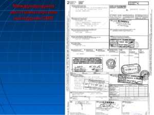 Расположение поля для номера пломбы в транспортной накладной