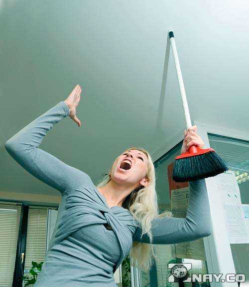 Обращение в суд для защиты права на тишину в жилом доме