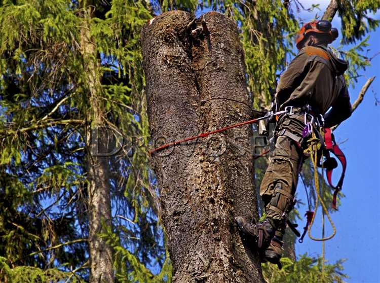 Куда отправлять жалобы онлайн и через мобильные приложения