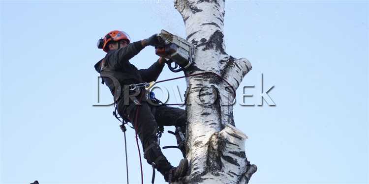 Как проверить статус рассмотрения вашей жалобы