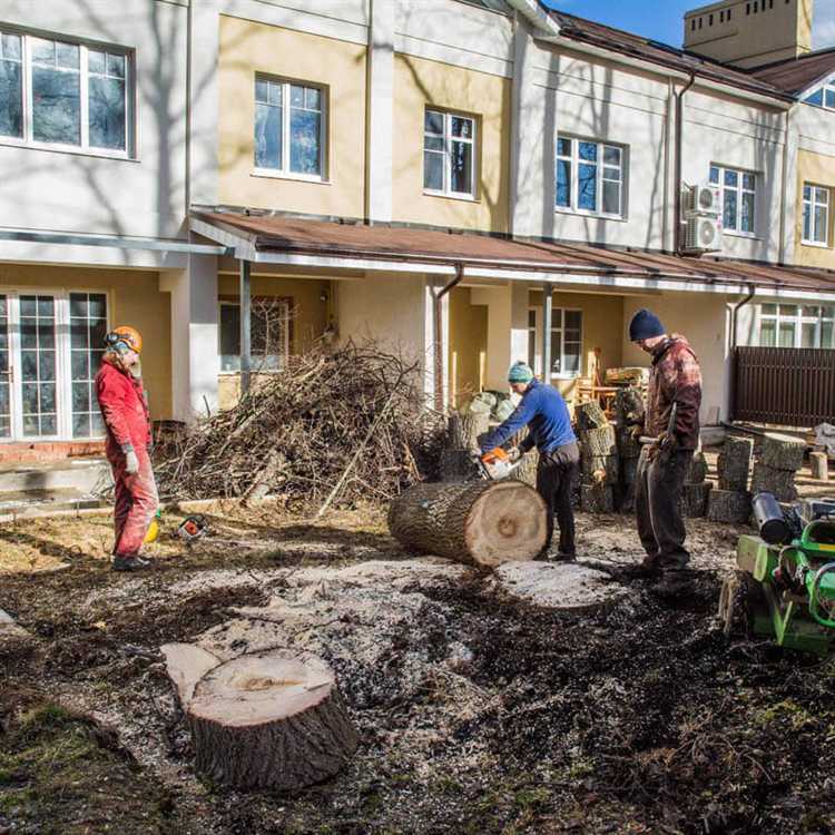 Куда жаловаться на вырубку деревьев в москве Куда жаловаться на вырубку деревьев в москве