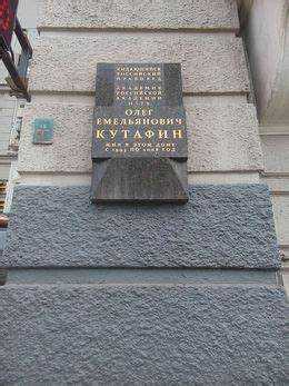 Практическое применение идей Кутафина в судебной практике