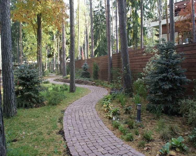 Права собственности и пользования лесным участком