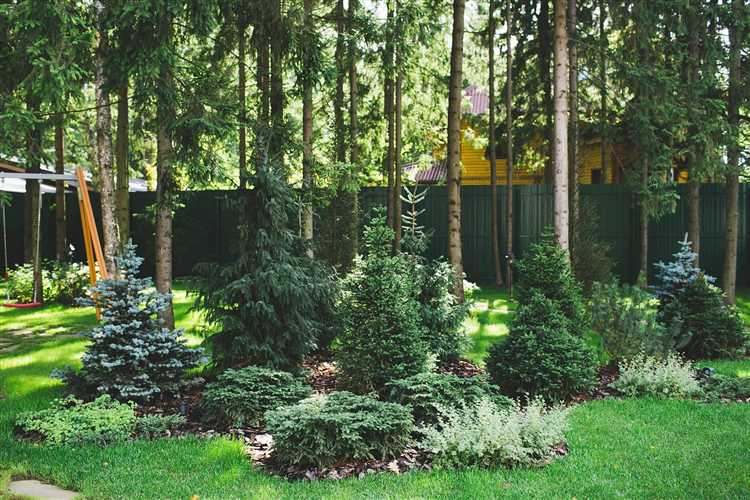 Критерии отнесения территории к лесному участку