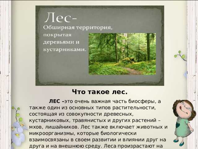 Особенности охраны и воспроизводства леса после вырубки на лесосеке и делянке