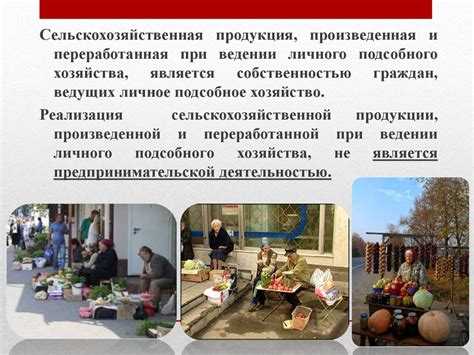 Продажа излишков продукции: ограничения и возможности