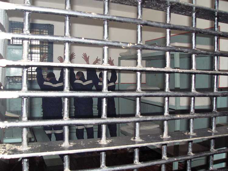 Возможности замены лишения свободы другими мерами в ходе исполнения приговора