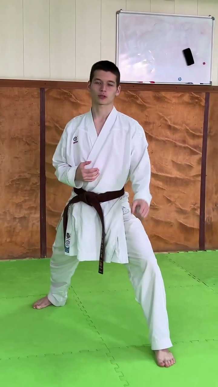 Мастер спорта по каратэ как получить Мастер спорта по каратэ как получить