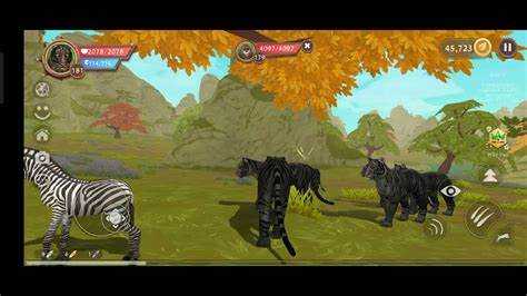 Как оформляется удостоверение о присвоении звания и где его получить