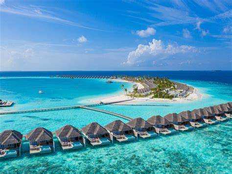 Какие из этих вариантов используются в юридических и трудовых документах?