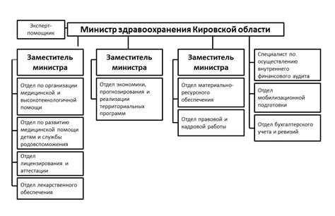 Министерство здравоохранения: бюджет, управление ресурсами и контроль за расходами