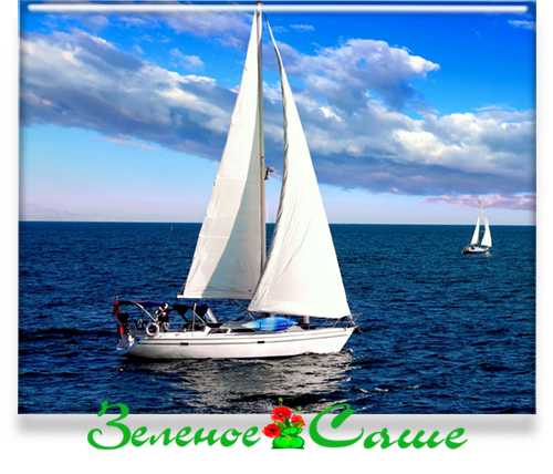 Юридическая сила морского протеста в суде и страховых делах