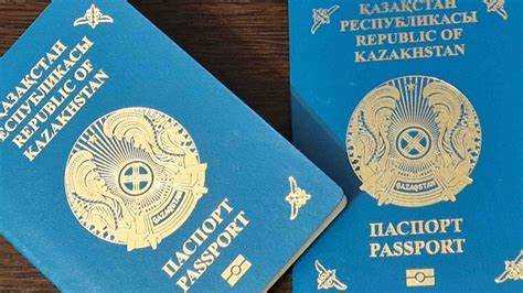 Когда паспортные данные требуются для участия в государственных услугах