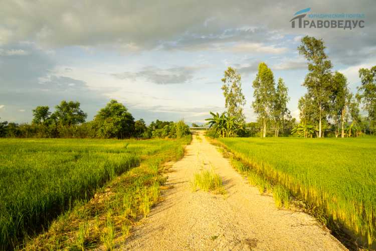 Процесс получения разрешений на использование муниципальной земли