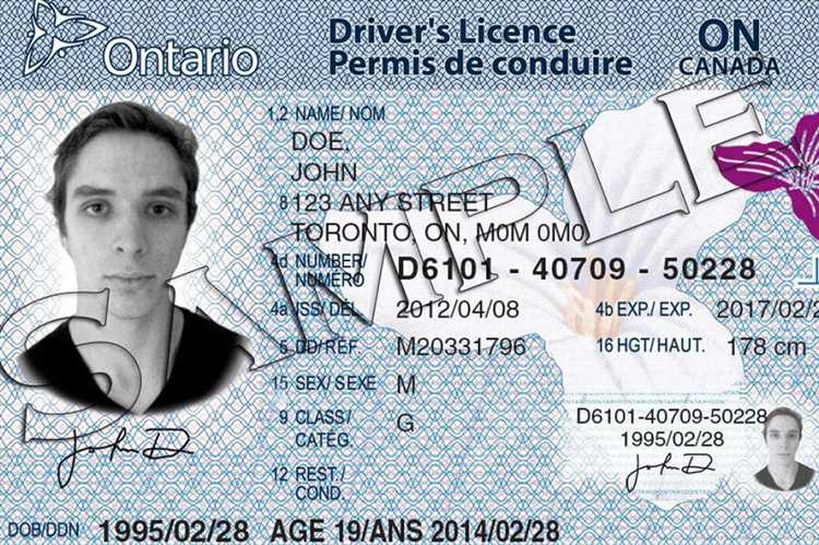 Ограничения по мощности и скорости для транспорта без прав с 14 лет