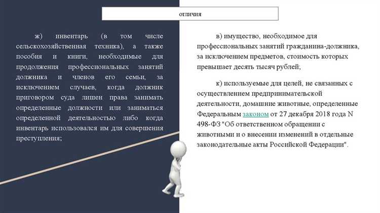 Имущество, необходимое для ведения жизнедеятельности, и его защита