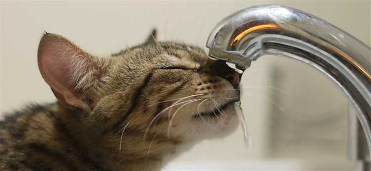 Допустимая продолжительность отключения при проведении профилактики