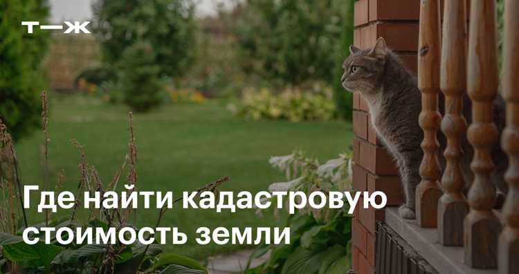 Как узнать дату кадастровой оценки своей недвижимости