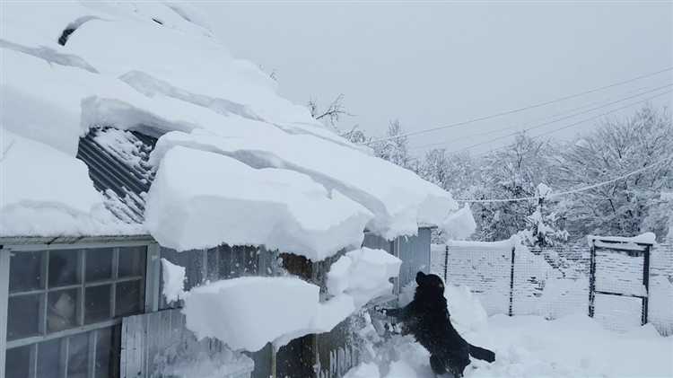 Какие документы и доказательства необходимо собрать
