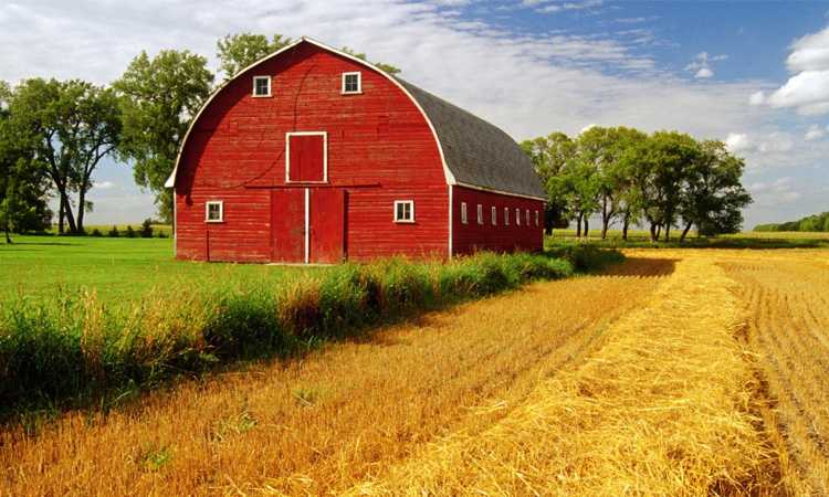 Какие виды деятельности может вести КФХ по закону