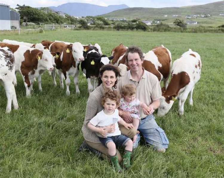 На основании чего действует кфх