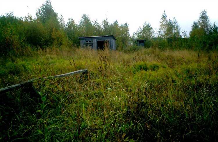 Какие причины могут привести к расхождению данных с реальностью