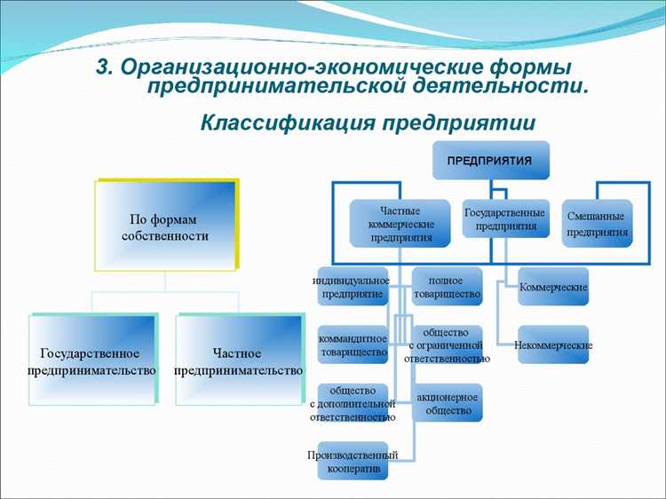 Наименование хозяйствующего субъекта что это Наименование хозяйствующего субъекта что это