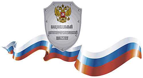 Основные направления деятельности компании НАК