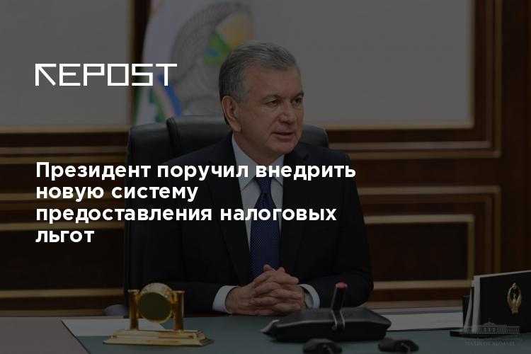 Что проверяет налоговая при рассмотрении права на льготу