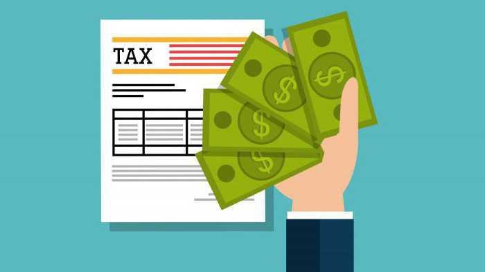 Куда и в какие сроки нужно подать декларацию 3-НДФЛ