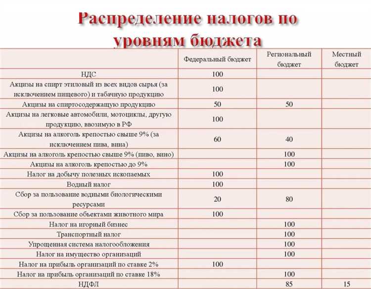 Что представляет собой НДПИ с точки зрения бюджетной системы