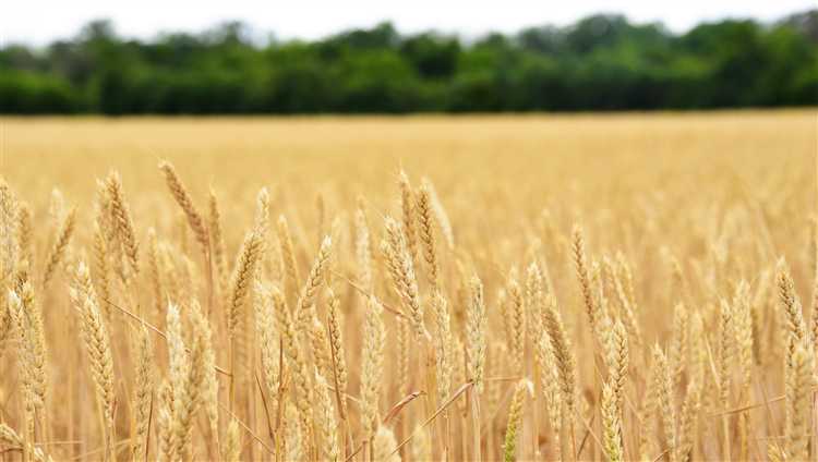 Что влияет на спрос на продукты и их ценность для обычного человека