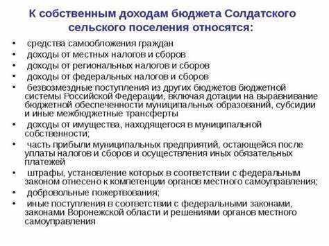 Средства, получаемые от внешних займов и кредитов