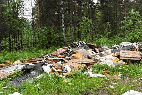 Незаконная свалка мусора куда обращаться Незаконная свалка мусора куда обращаться