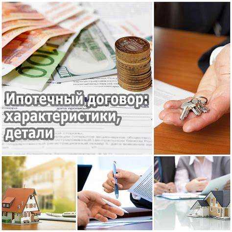 В каких документах чаще всего указывается номер договора основания