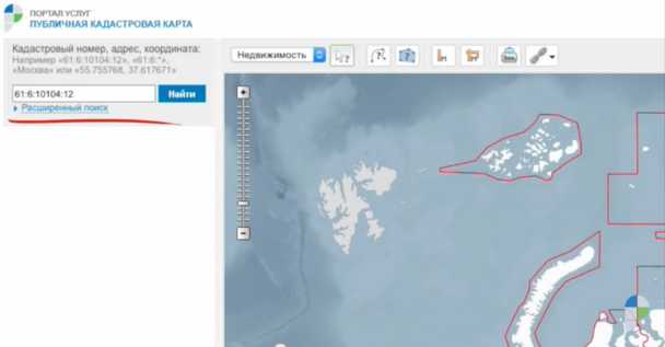 Где в выписке ЕГРН находится номер права