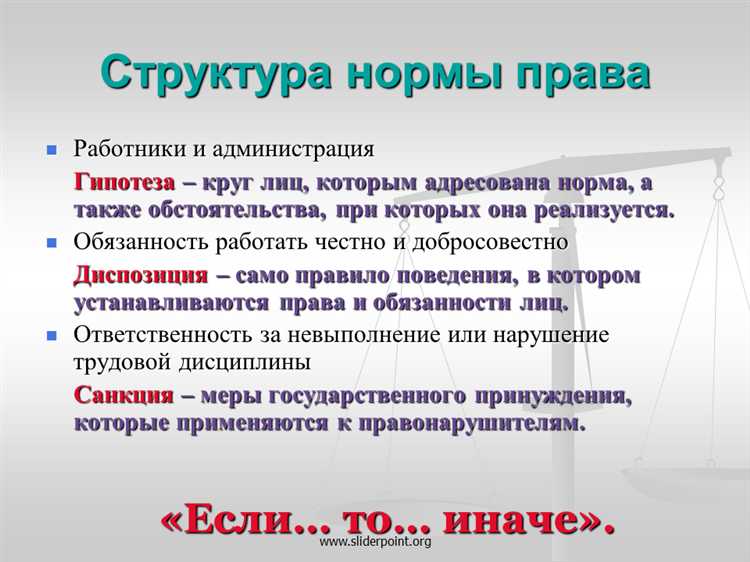 Применение муниципальных правовых актов на практике