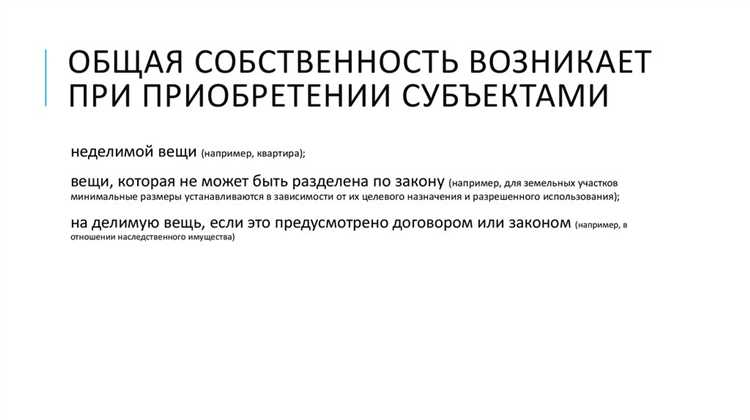 Когда вещь признается пригодной для совместного владения