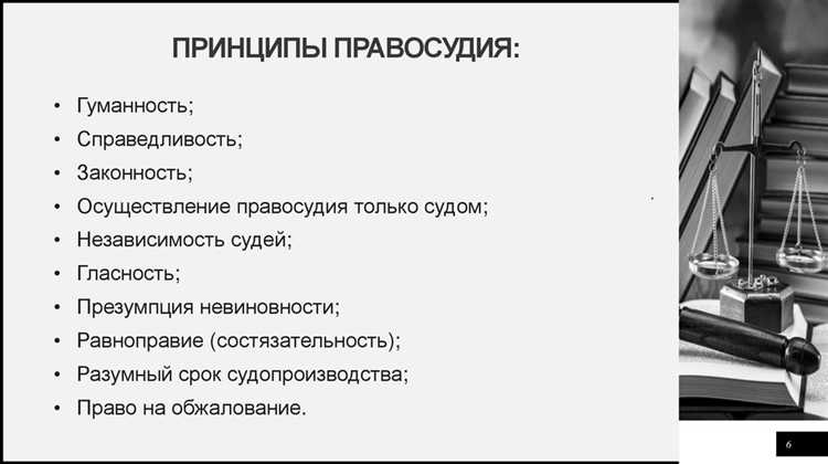 Какие органы следят за соблюдением принципов правосудия на практике