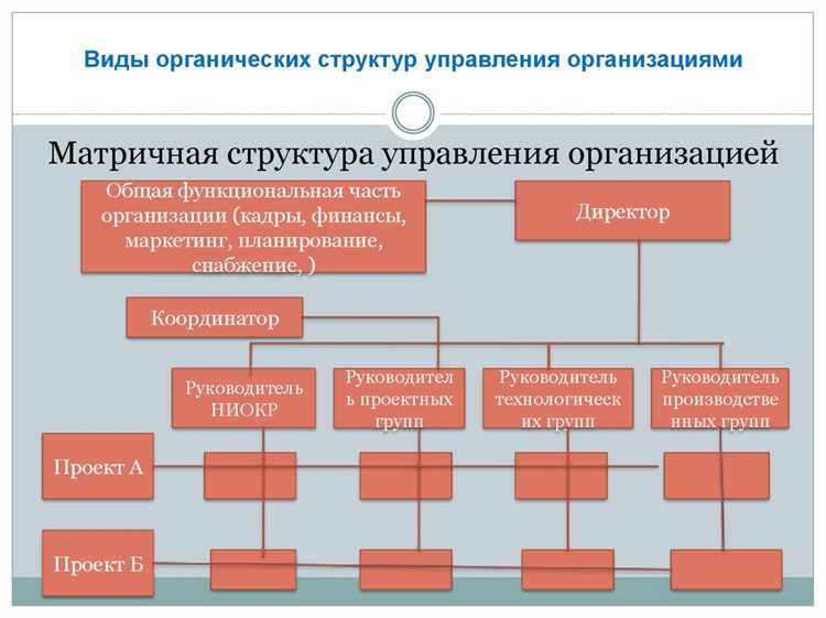 Какие правовые формы могут принимать организации и учреждения