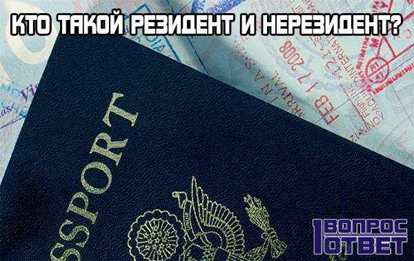 Анализ места фактического управления организацией